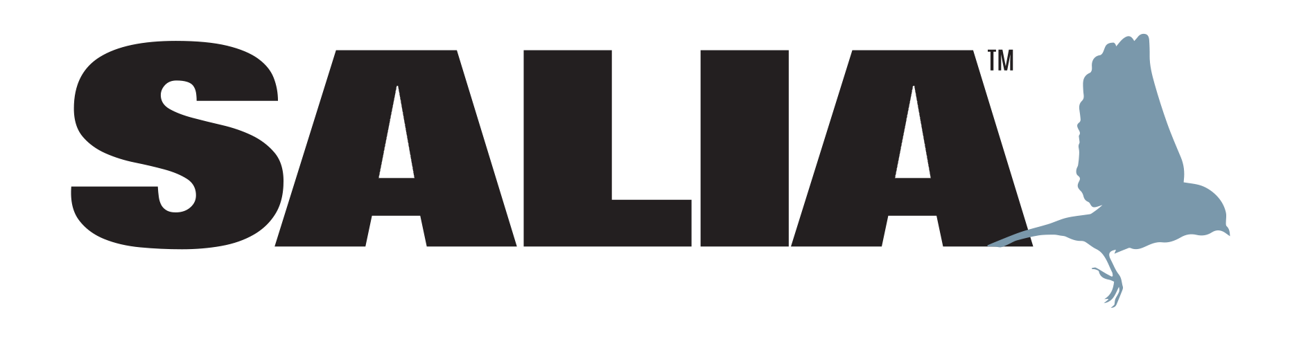 Salia-Logo-Final