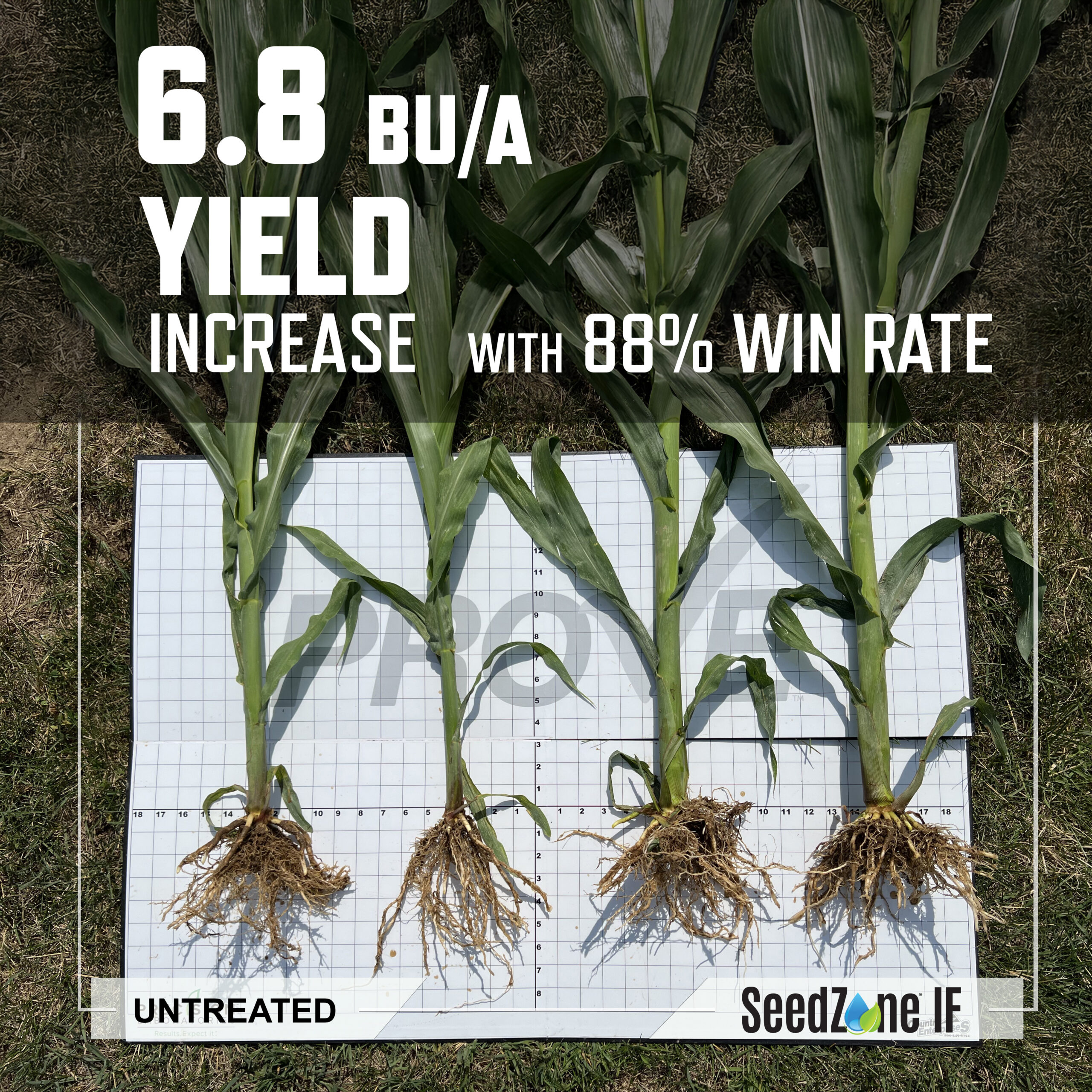 SeedZone IF Website Image 5_28_26