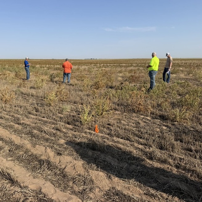 Image of an empty farm field with scientists and farmers studying the field.
