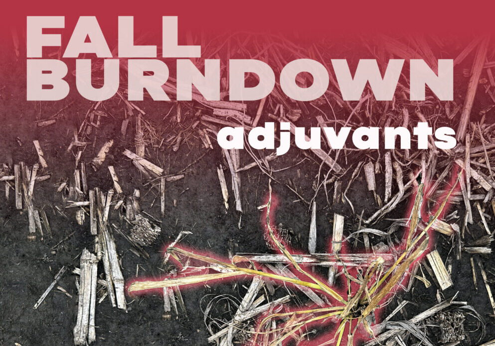 Fall-Burndown-blog-cover-img