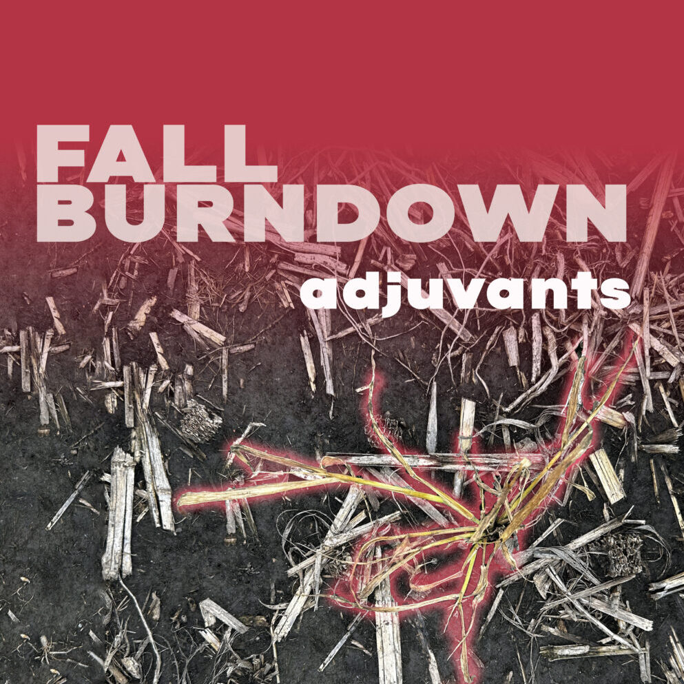 Fall-Burndown-blog-cover-img